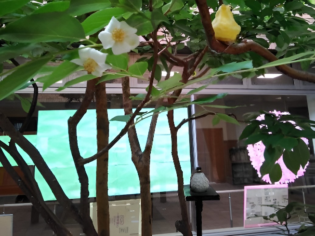 【正社員】<介護職>特別養護老人ホーム|静岡県富士市水戸島本町 イメージ