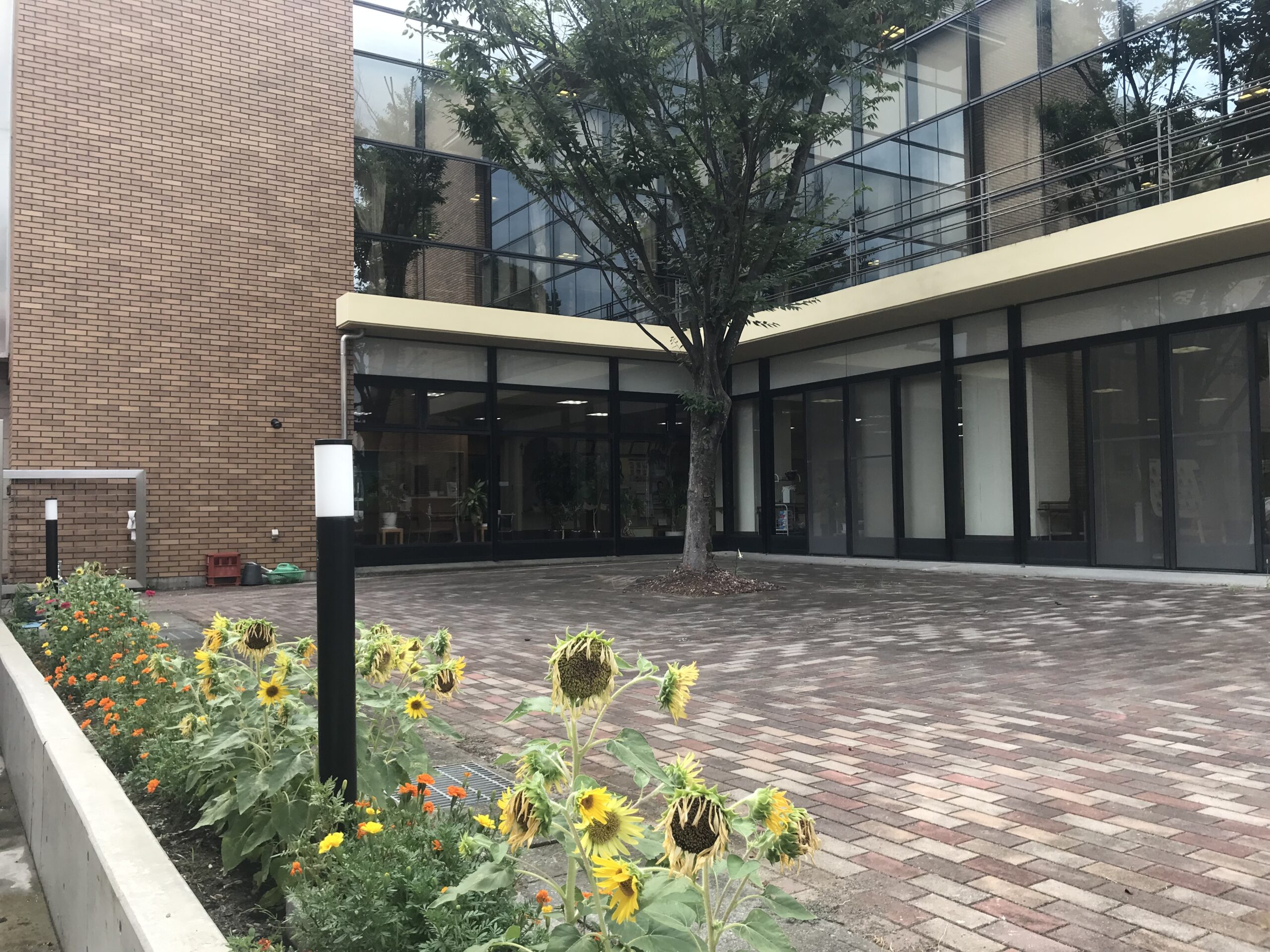 柿田川ホーム　中庭