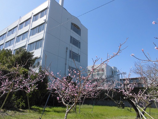 広野病院　外観