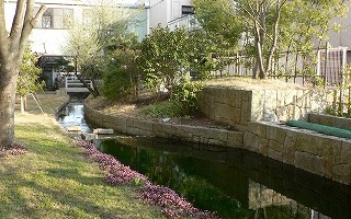 大井川睦園　中庭