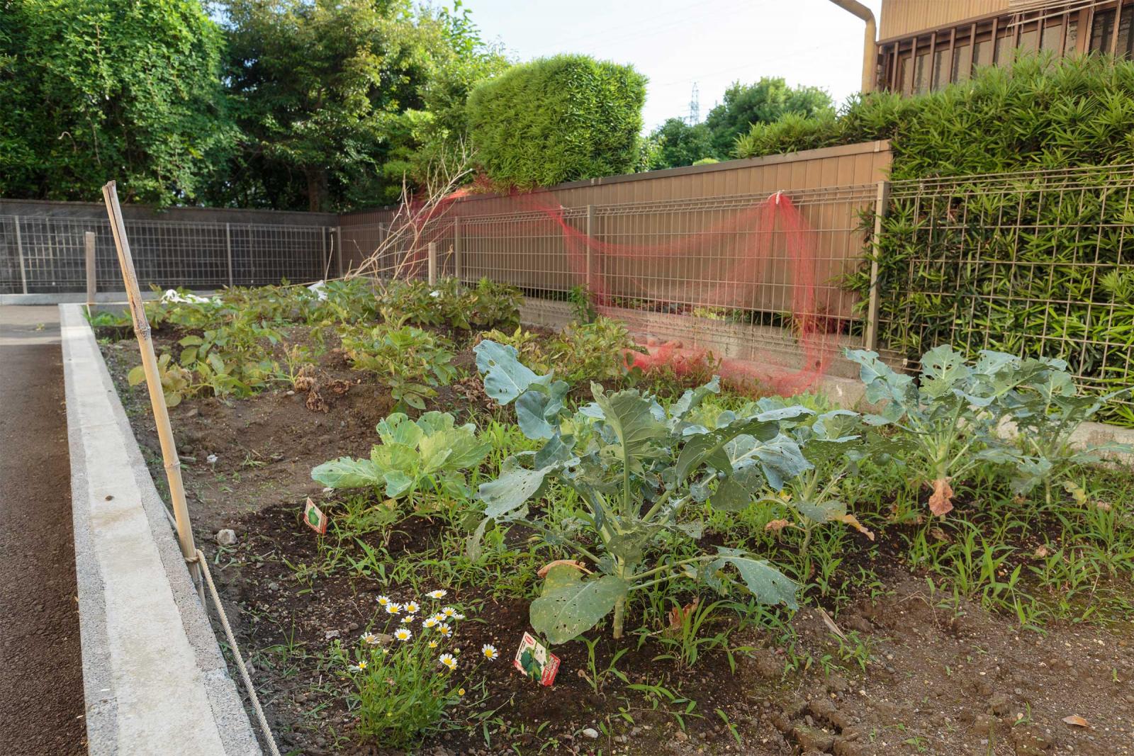 グループホームまつばらの家 職場の様子