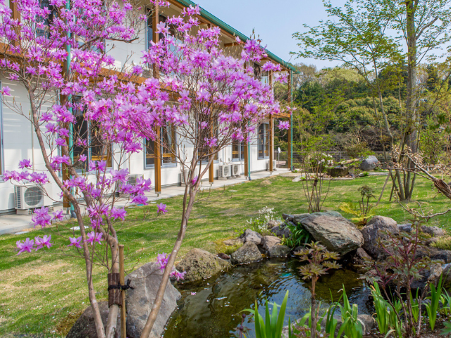 風のガーデン 中庭