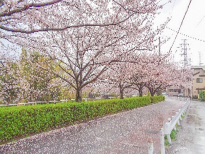 センチュリー万平　周辺環境