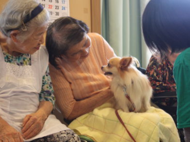 クリックで拡大します